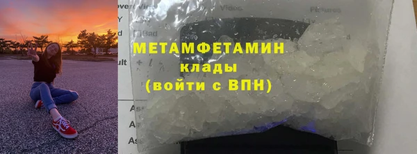 прущие грибы Армянск