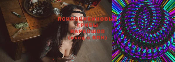 прущие грибы Армянск