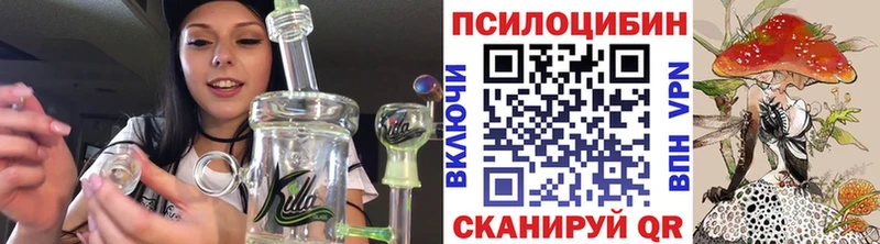 Псилоцибиновые грибы GOLDEN TEACHER Бугуруслан